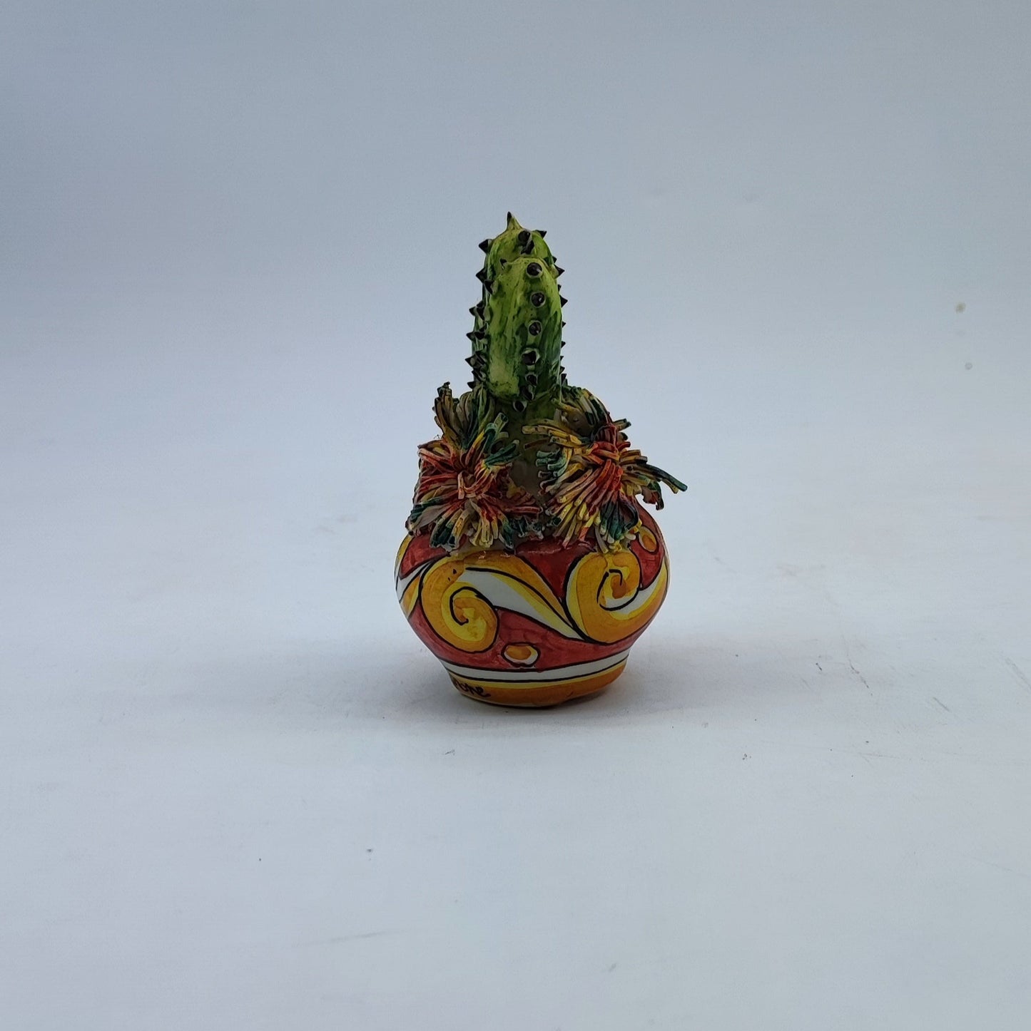 Cactus spinoso
