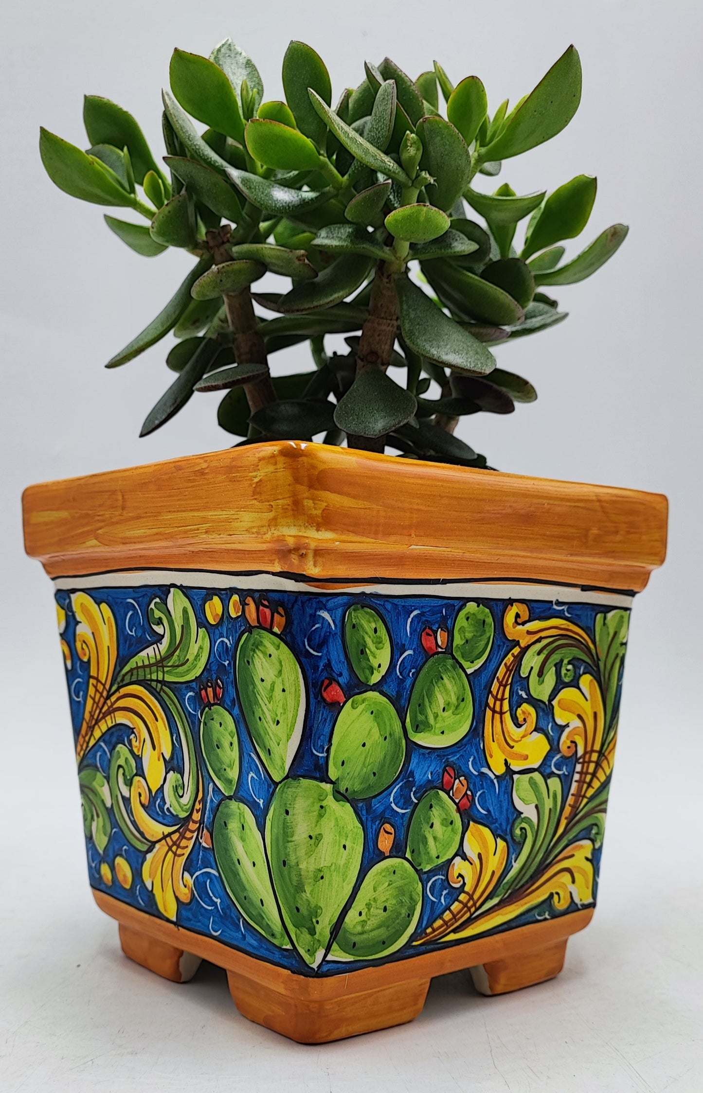 Ceramica di Caltagirone Square Planter – 17cm (6.7 inches) – Handcrafted Sicilian Ceramic Pot