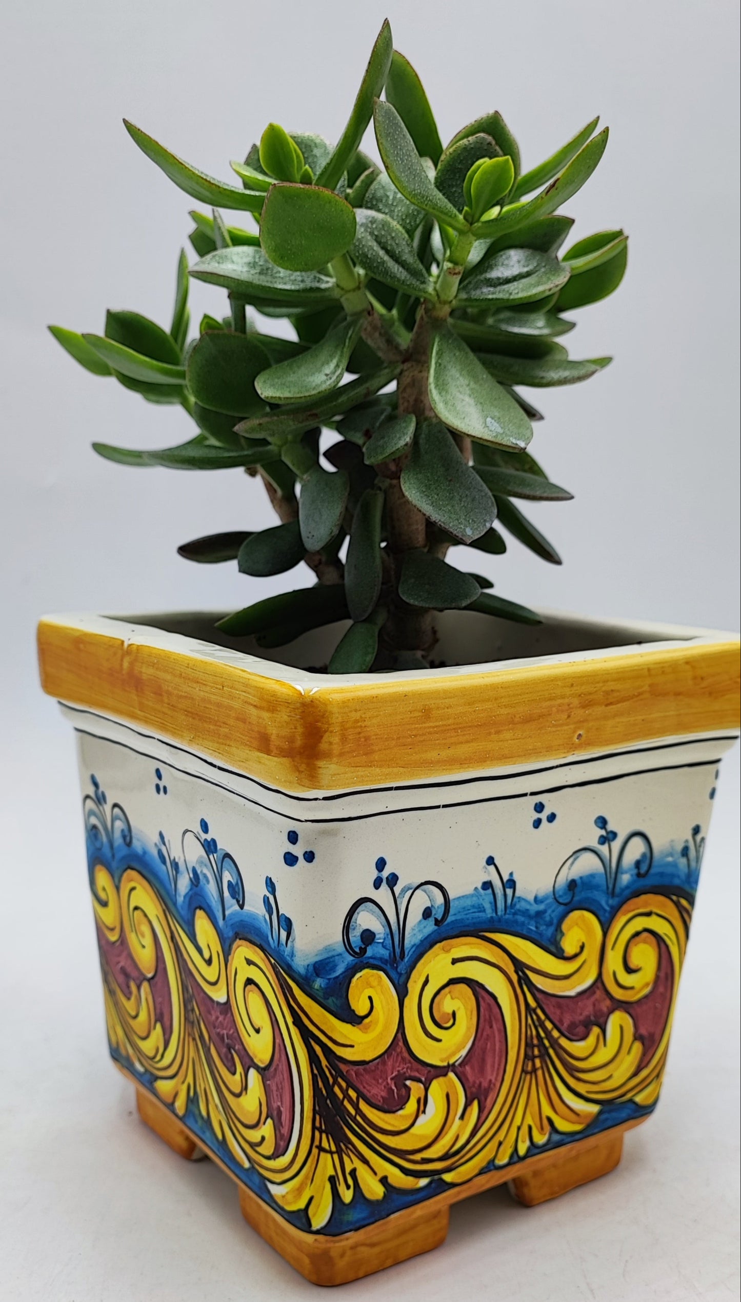 Ceramica di Caltagirone Square Planter – 17cm (6.7 inches) – Handcrafted Sicilian Ceramic Pot