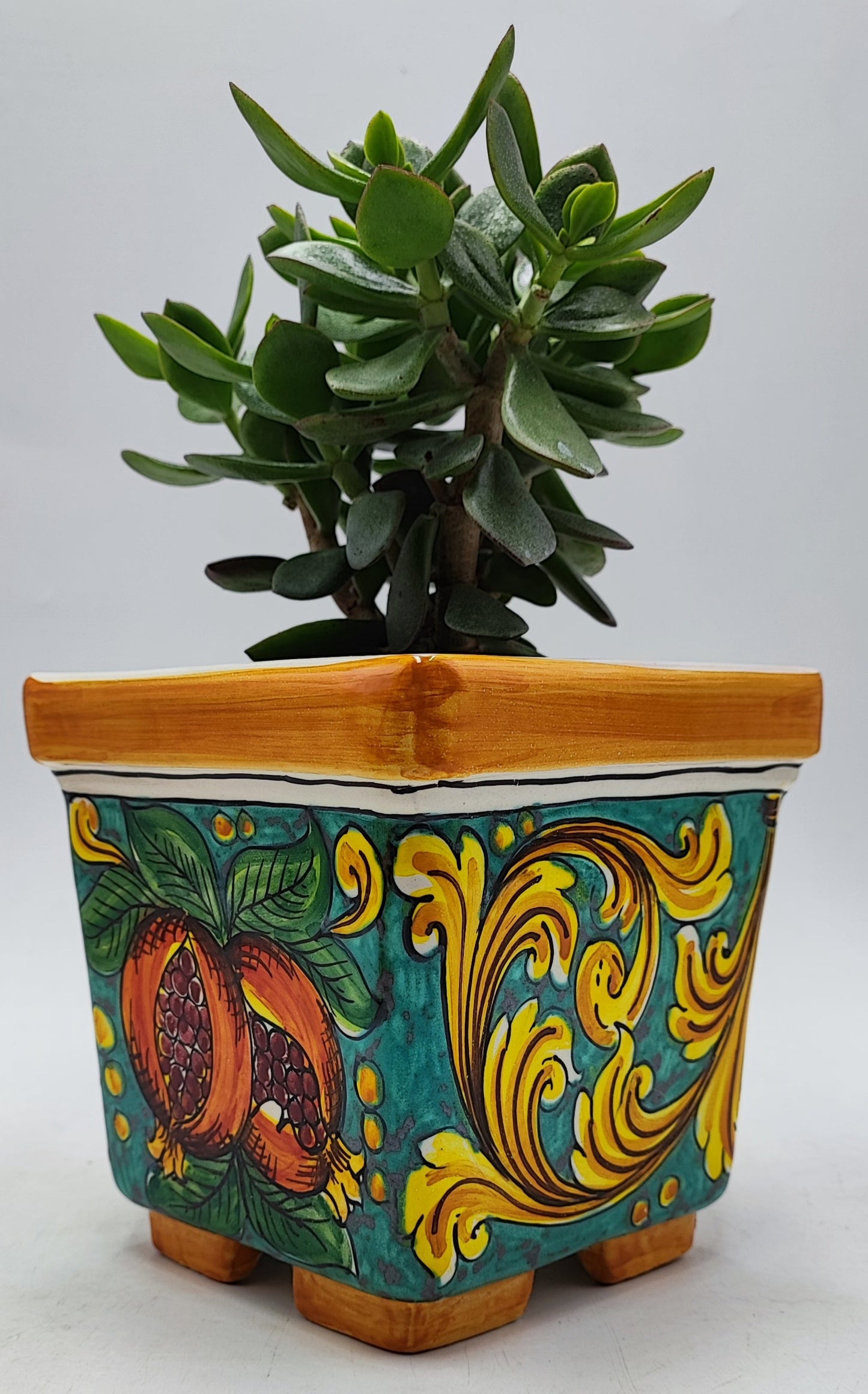 Mediterranean Pot