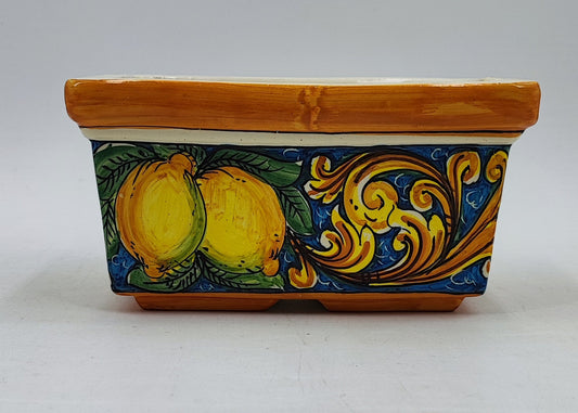 Colorful Designs
